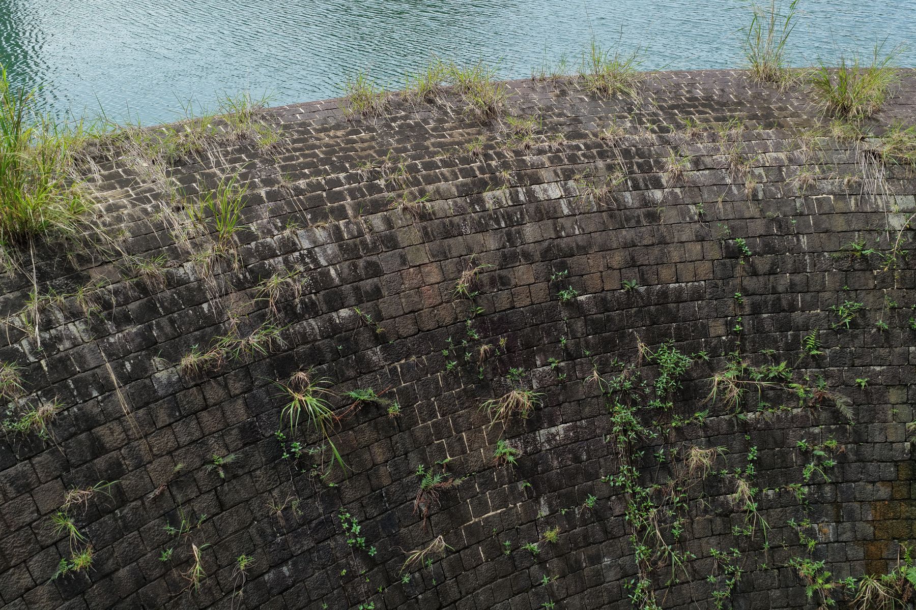Curved masonry retaining wall holding a grade beside the water